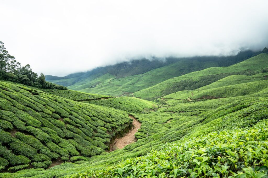 Munnar