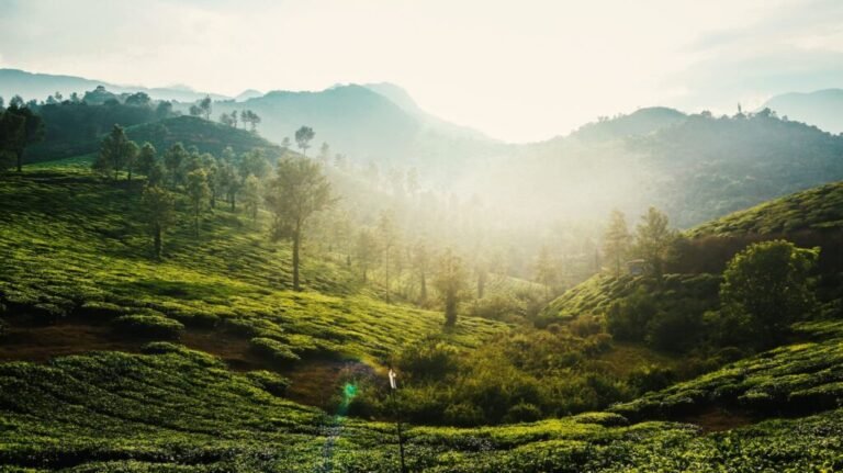 Bangalore to Wayanad – Leisure & Stay 