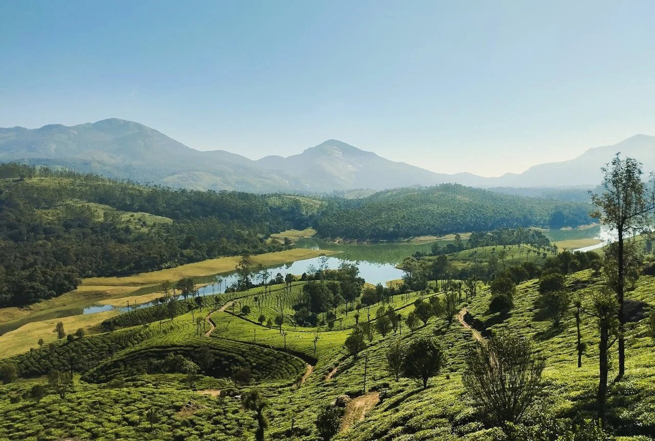 Munnar hill station holidays