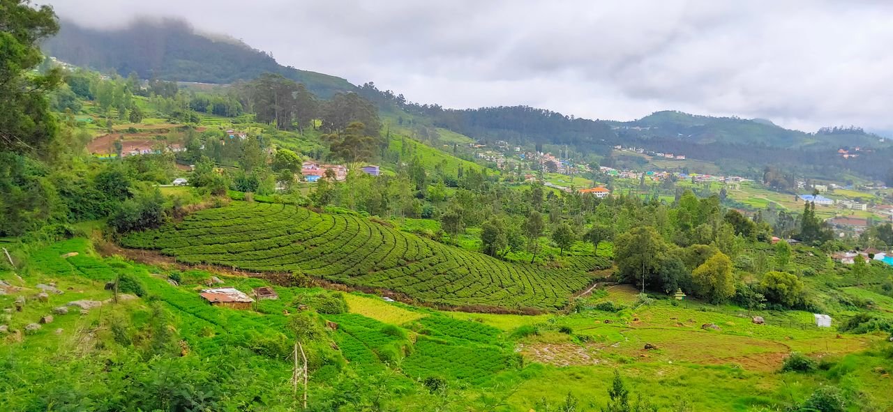 Ooty hill station holidays