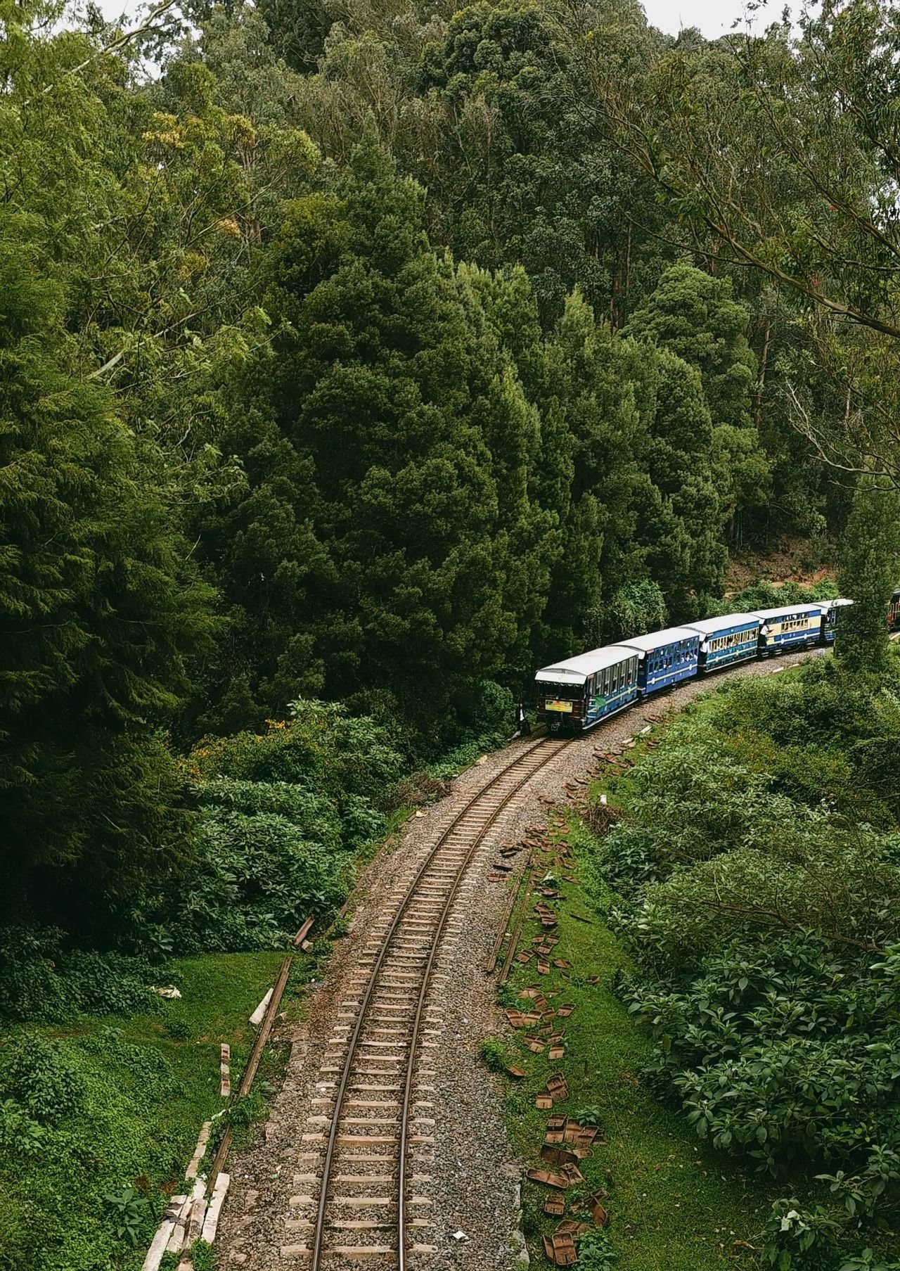 Ooty hill station holidays