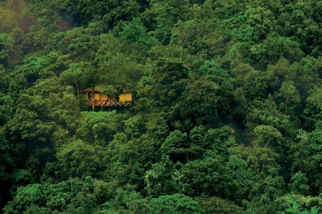 Tree house at Vythiri Resort in Wayanad