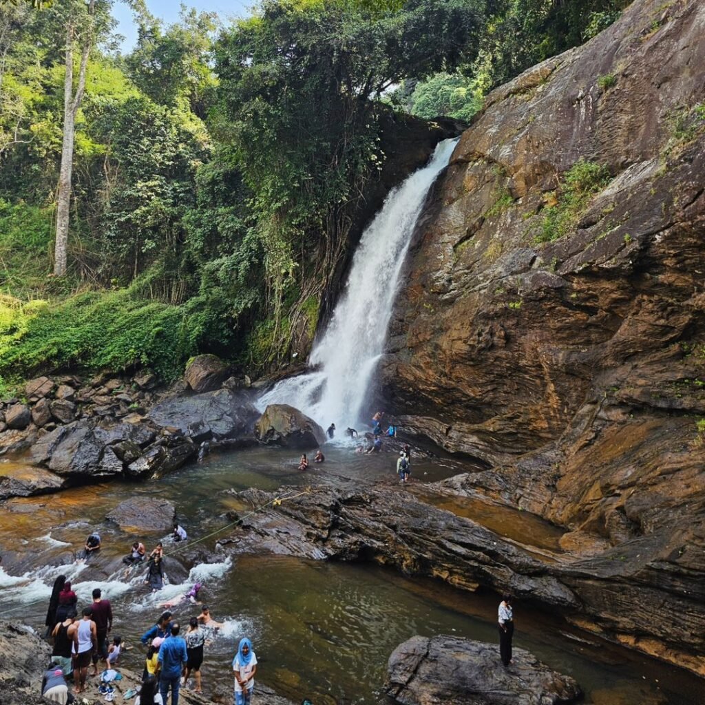 Wayanad travel experience